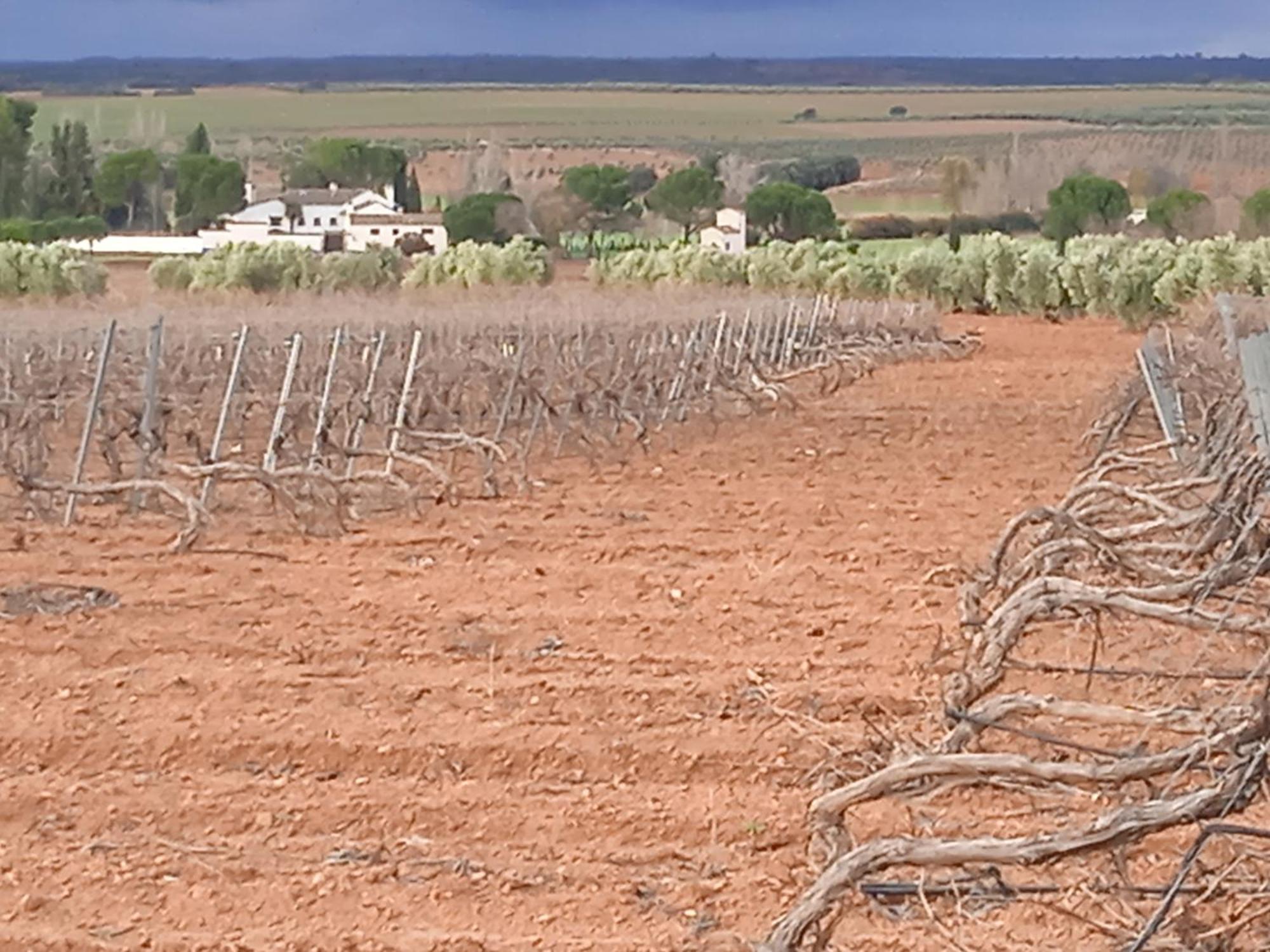 Casa Rural Senorio De Quevedo Villanueva De Los Infantes Bagian luar foto
