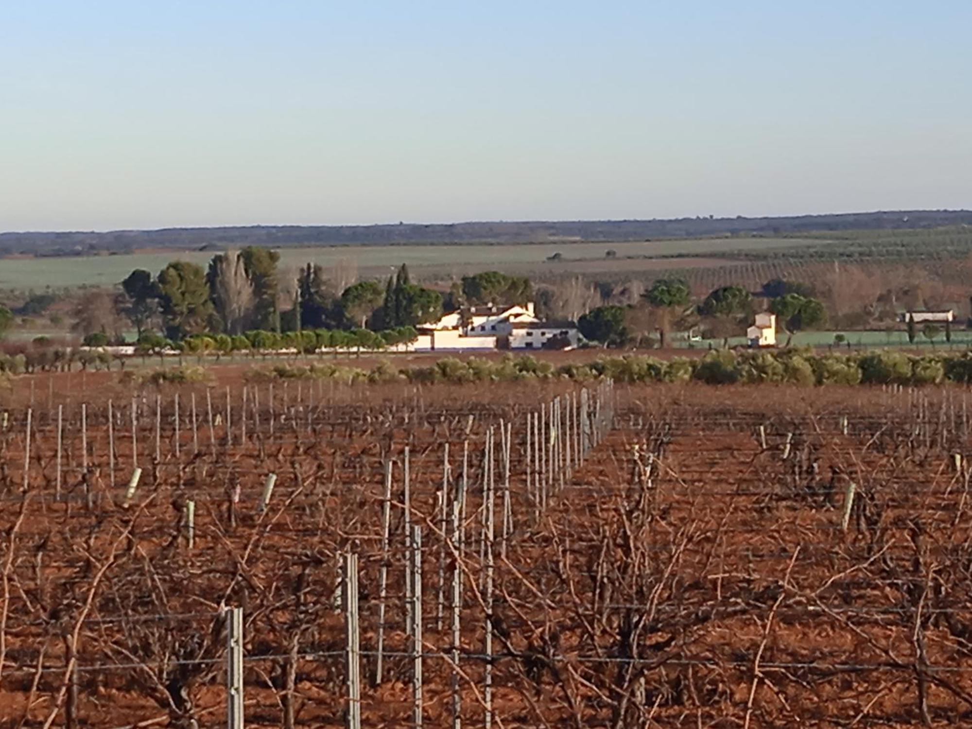 Casa Rural Senorio De Quevedo Villanueva De Los Infantes Bagian luar foto
